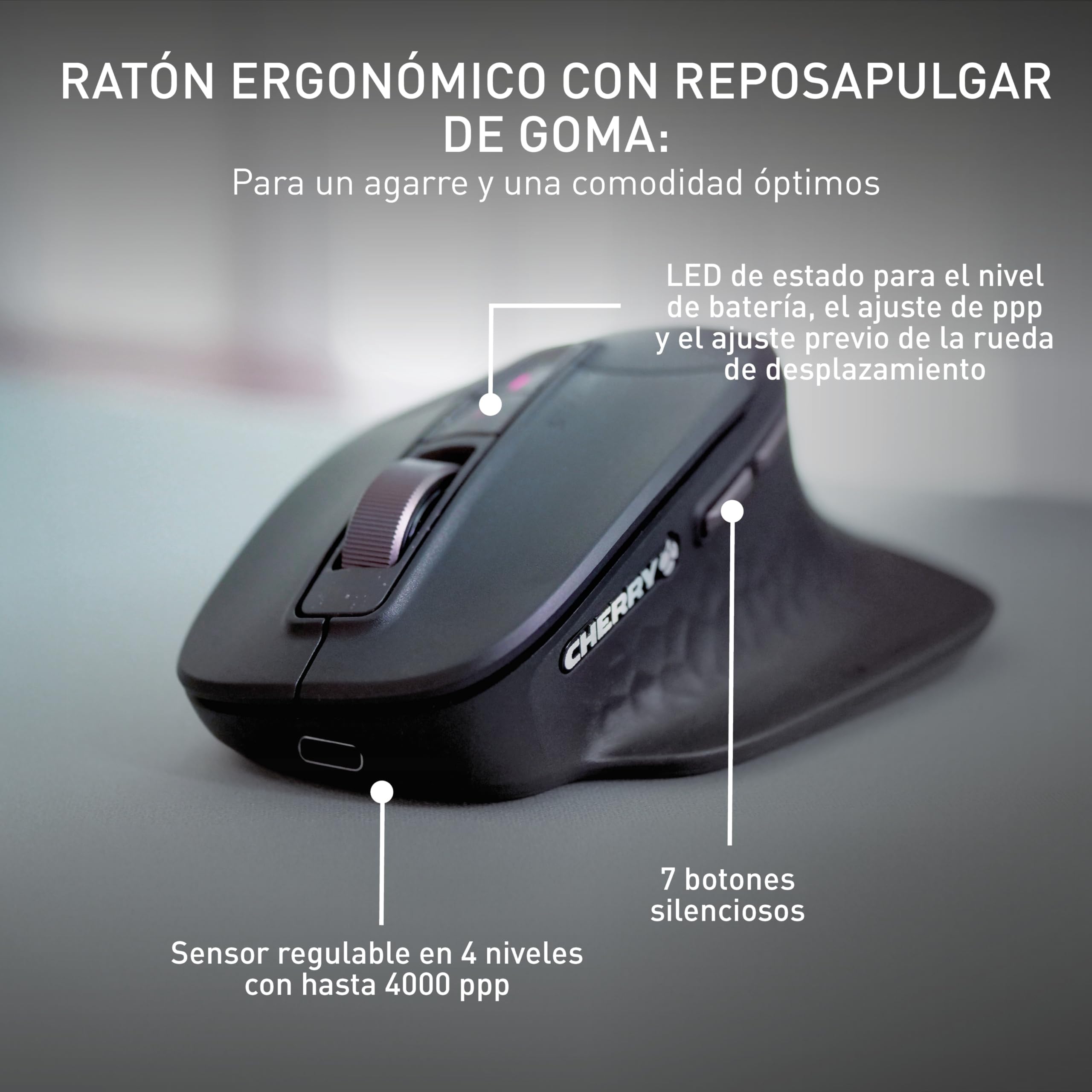 CHERRY Stream Desktop Ultimate, Conjunto de Teclado y Ratón Inalámbricos Multidispositivos, Distribución US (QWERTY), Ratón Ergonómico para Diestros, Negro