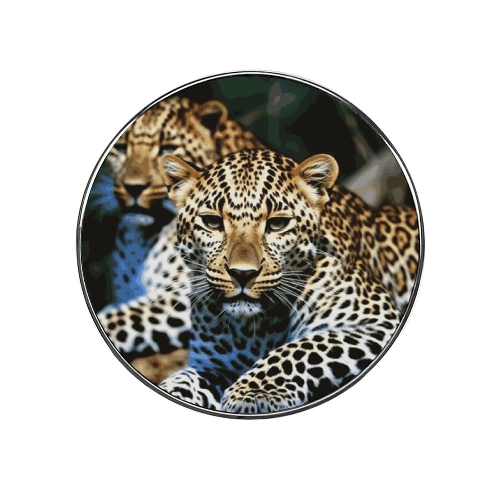 Leopard Fridge Magnet Magnetic Refrigerator Magnets Mini Round Kitchen Fridges Magnets for Kitchen Office Whiteboard Cabinet and Dishwasher