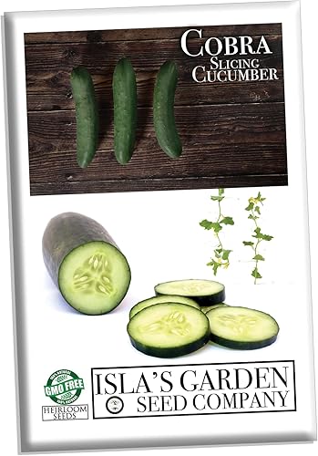 Miniatura 2 de Semillas de pepino "Cobra" para plantar, más de 25 semillas por paquete, semillas de jardín de Isla (semillas de jardín de Isla), semillas sin OMG,