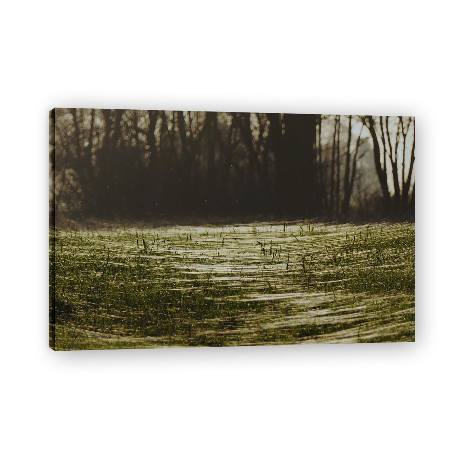 VHdfgTY LeafMountain Landscape Canvas Wall Art Nature Scenery Wall Decor for Home 30x45cm Framed