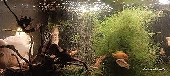 Review Image by HEIDI & WAYNE JACKSON HEIDI & WAYNE JACKSON