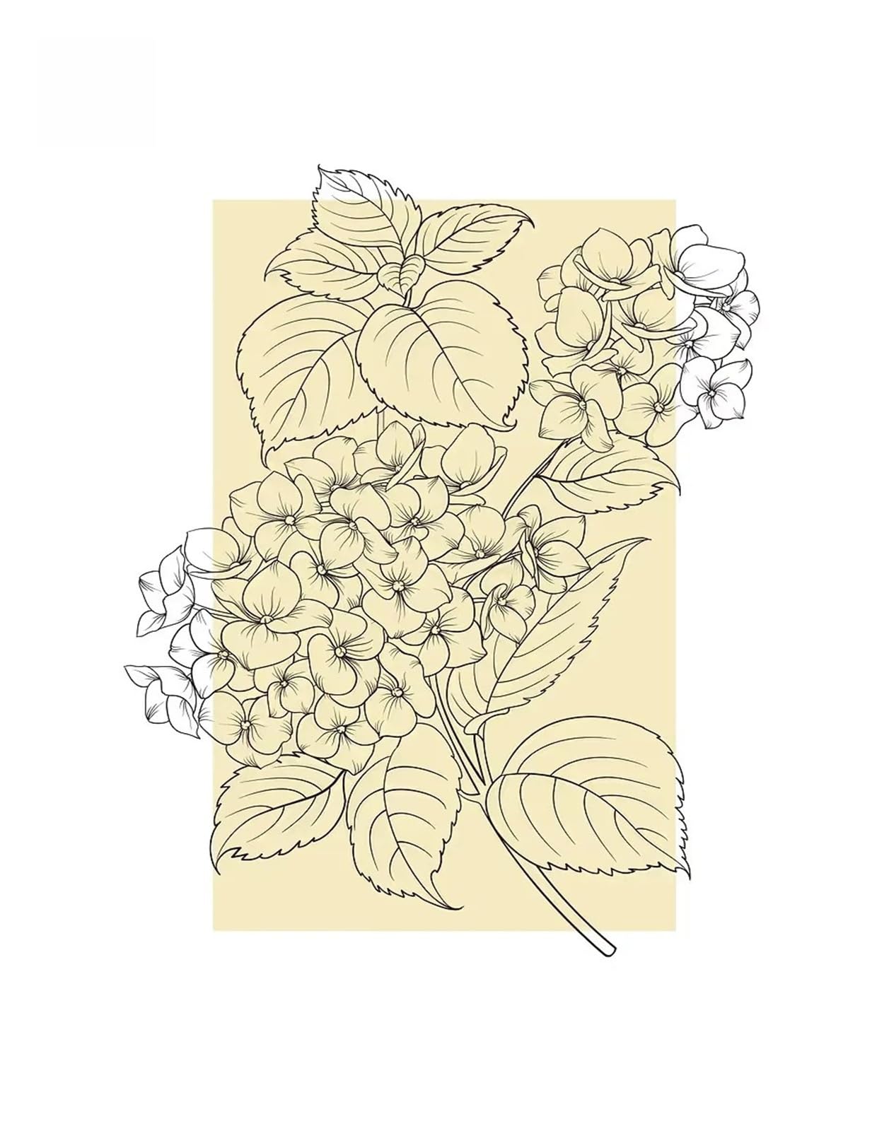 Impression sur toile florale et affiche minimaliste T 30x40cm pour déco de chambre zen