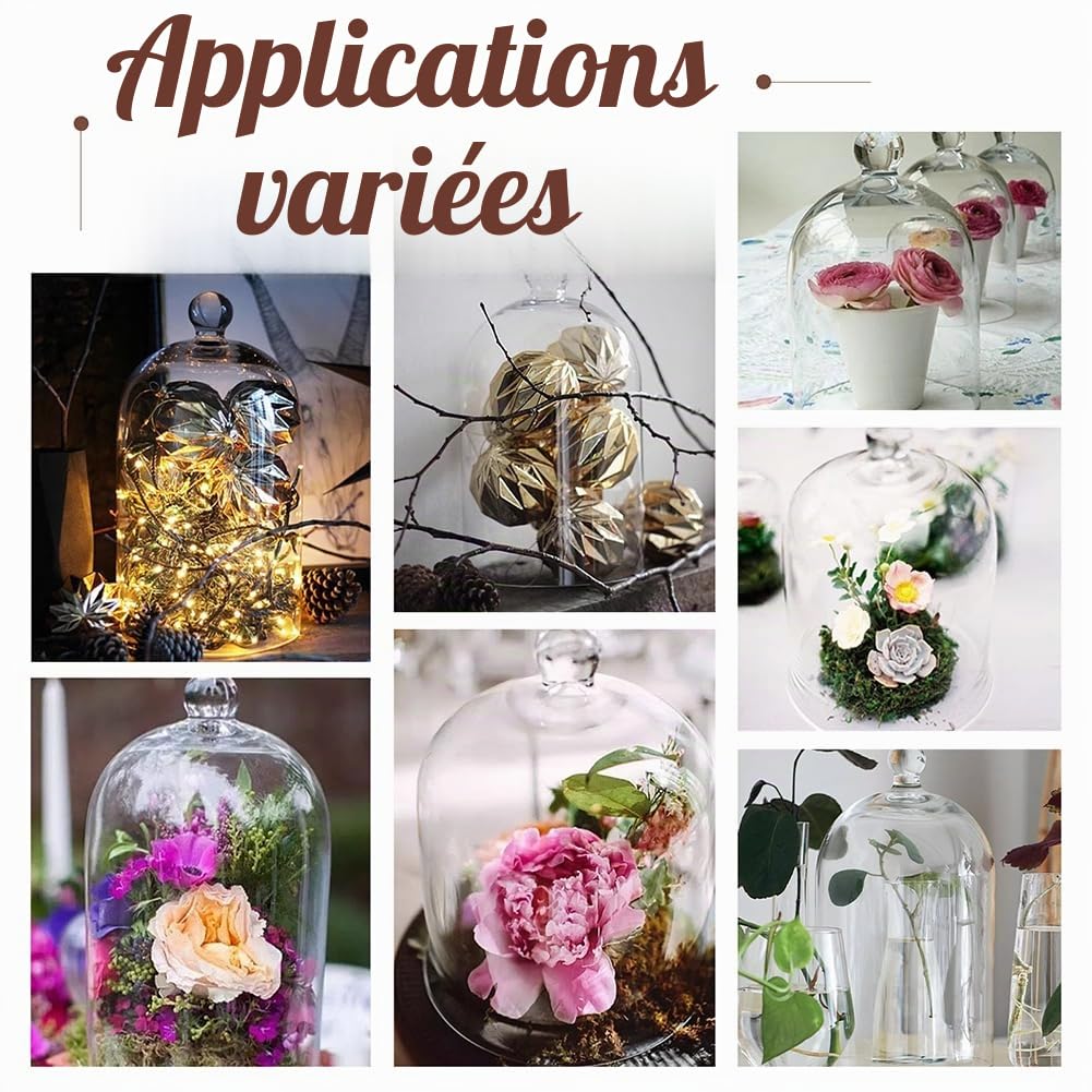 PH PandaHall 17 x 10cm Cloche en Verre Dôme Objets de Collection Cloche Décorative avec Poignée en Boule pour Plantes Guirlandes Lumineuses Décoration de Table Médaille Photo, Sans Base