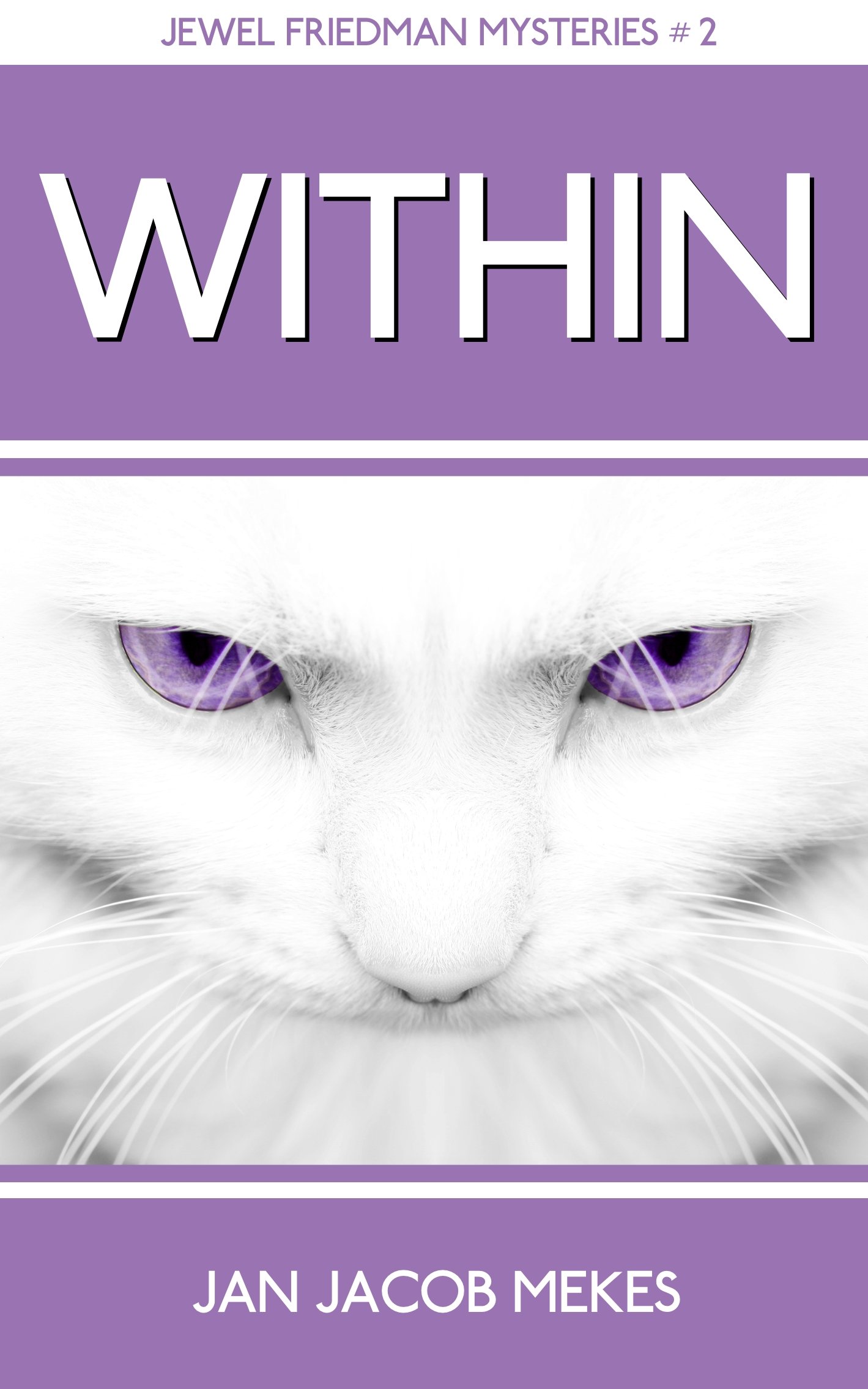 Within (Jewel Friedman Mysteries Book 2)