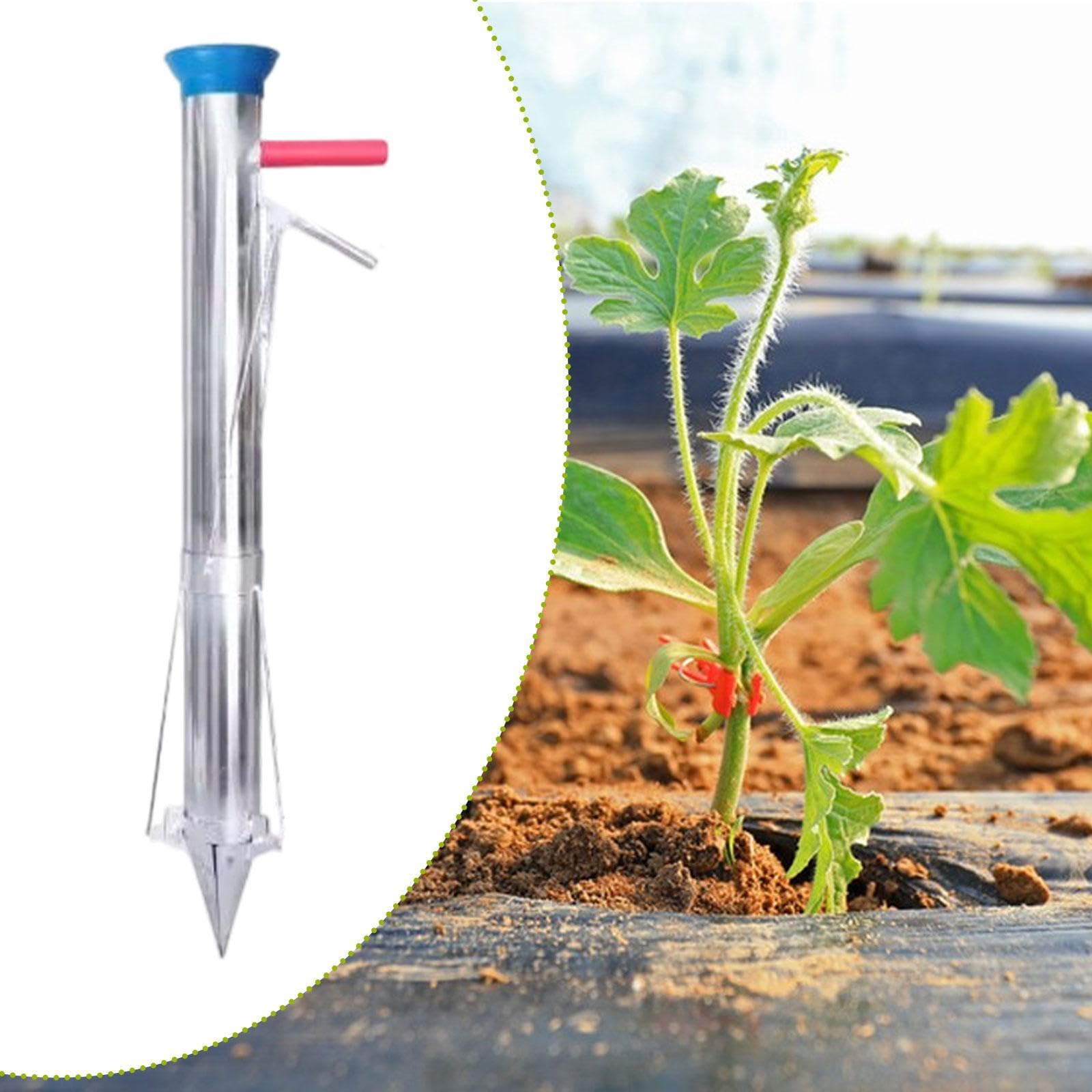 Zwiebelpflanzer Pflanzwerkzeug Gartenwerkzeug Setzlingstransplanter Unkrautstecher Aus Edelstahl Praktisch für Gemüsezucht Blumenpflege Hobbygärtner, Einzelgriff