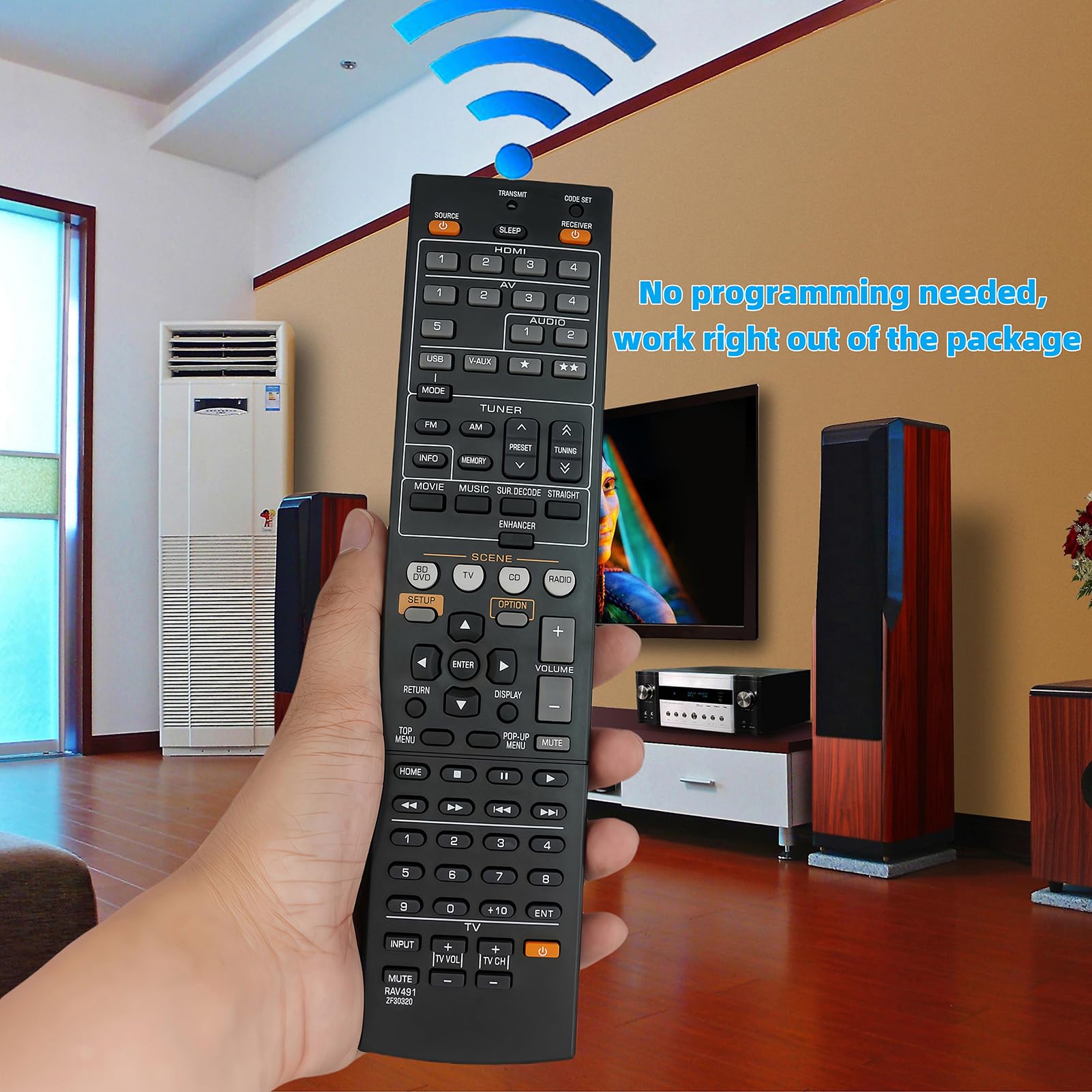 Amazon.com: Replacement Remote Control RAV491 ZF30320 Fit for