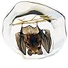 Product Photo 3