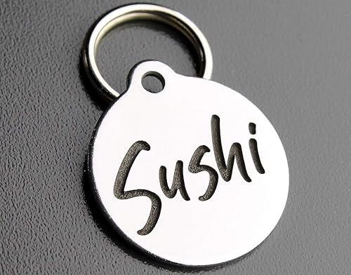 Etiquetas de identificación de mascotas personalizadas con grabado profundo de acero inoxidable, etiquetas de perro delanteras y traseras