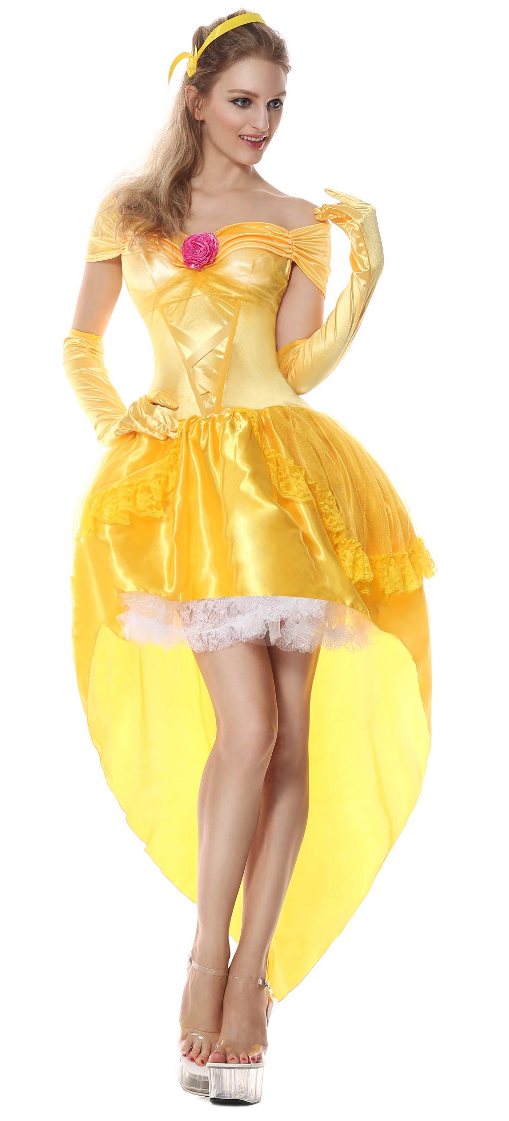 Women's Storybook Fantasy Halloween Princess Party Costume Dress Set