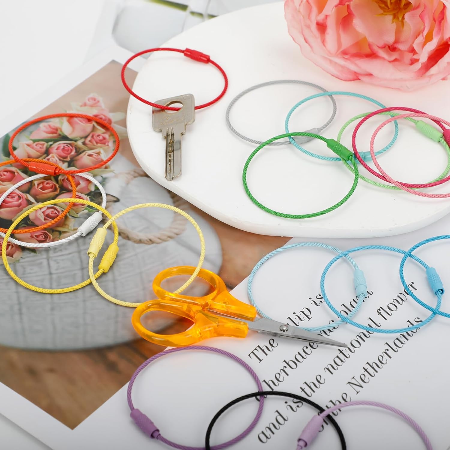 40PCS Stainless Steel Wire Keychain Cable,Luggage Tag Loops Durable Metal Key Rings for Keys, ID Tags & More (Colorful) - Image 3