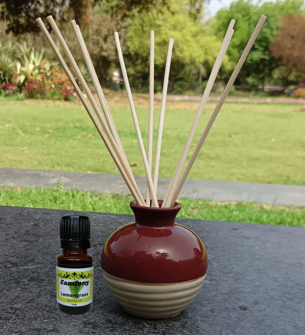 Zamfony 1 Pack/Reed Diffuser Set, Aroma Oil Lemon Grass & 10 Reed Diffuser Sticks, Home Decor & Office Decor, Fragrance and Gifts