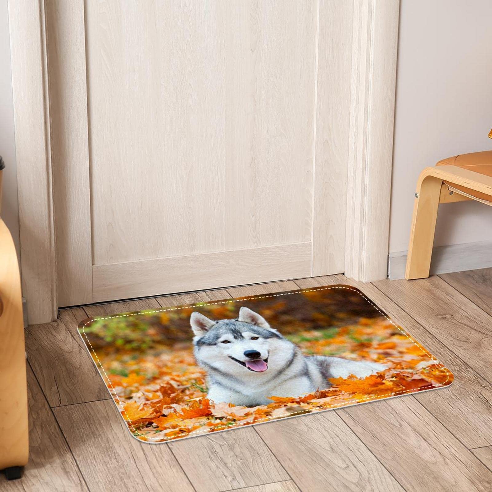 超大判　犬柄　USA製　ラグ　マット　フリンジ付き　170×130 キャバリア. Amazon | シベリアン ハスキー犬秋の公園 エリアラグ、玄関マット