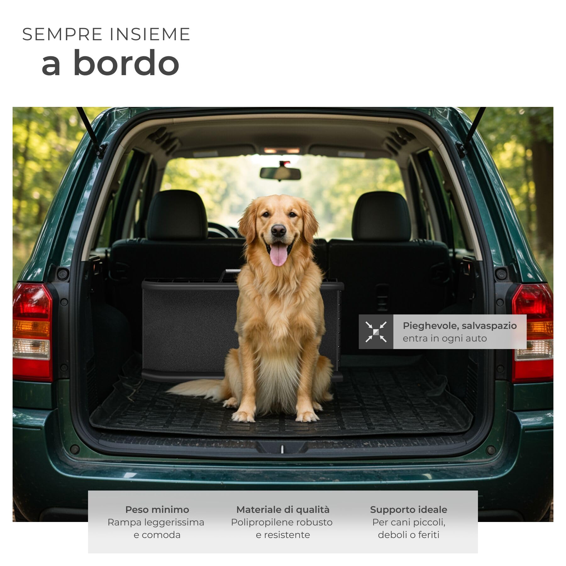tectake® Rampa per Cani Paw Step, Richiudibile, Antiscivolo per Auto, Pieghevole con Maniglie Trasporto, Supporto fino a 90kg, Pedana per Cani, Rampe per Cani