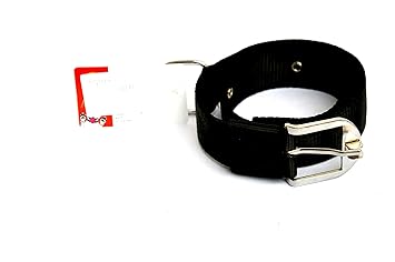 Dogista pet products Nylon Dog Collar 1. 50 inch (Color May Vary) Extra Large
