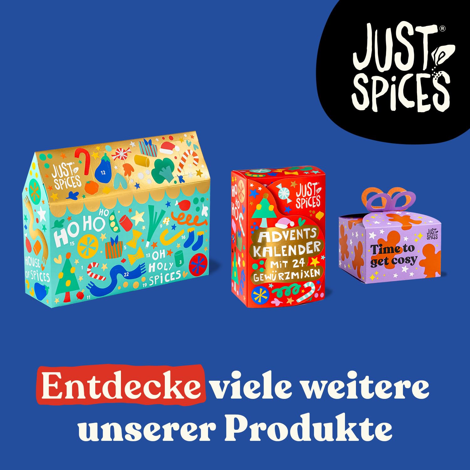 Just Spices Kleiner Gewürz Adventskalender 2025 24 Gewürzmixe Probierformat Rezepte Dezember