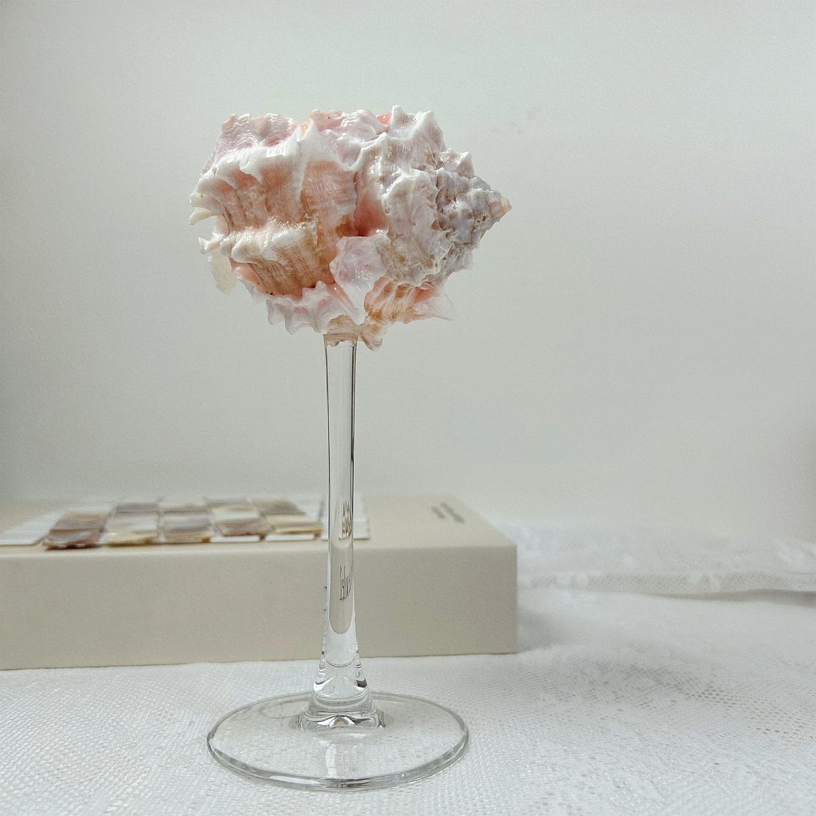 Verre à Vin en Coquillage Magnifique Coquillage et Verre Spécialement Conçu pour les Boissons Fraîches Centre Table Original Vin à Pied Long Prise Main Confortable (Base Transparente Rouge)