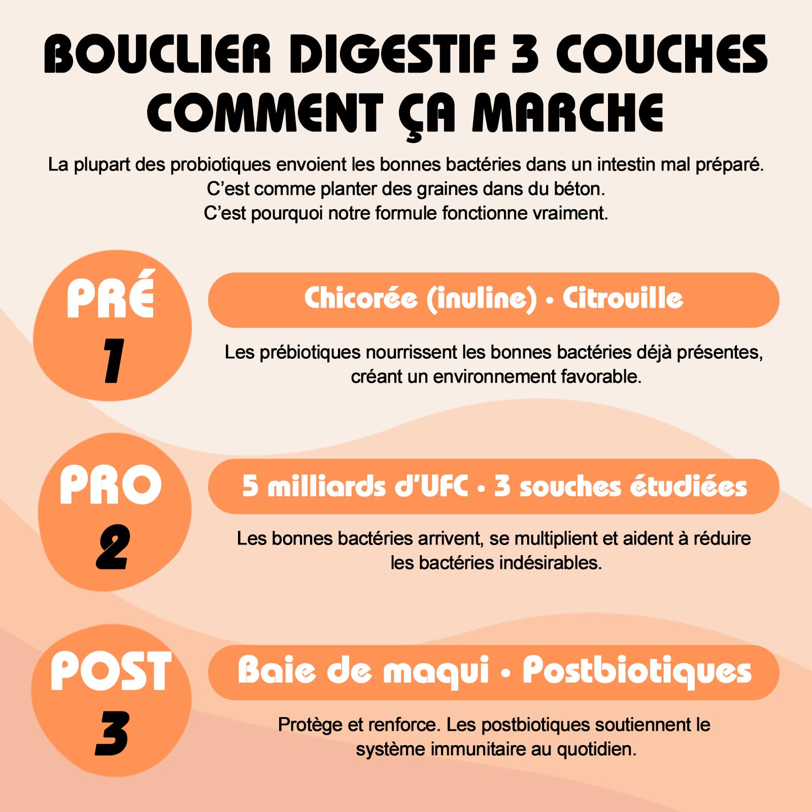 Bailey & buddies Probiotiques Chien Digestion & Système Immunitaire | Compléments Alimentaires Premium pour Chiens | Oméga 3, Probiotiques | Marque UK | 300g