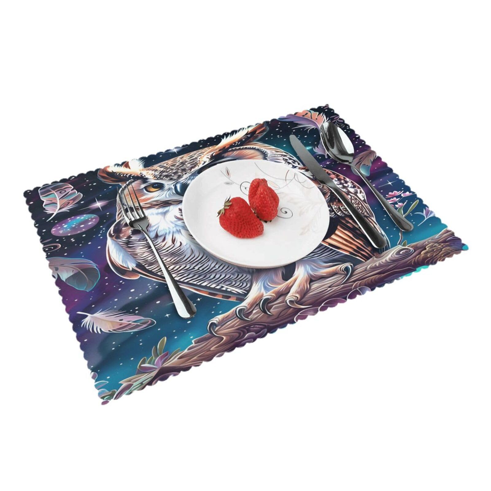 Owl Night Sky Placemats Set of 4 Print Table Mats Place Mats Table Decor for Kitchen Dining 12X18 in