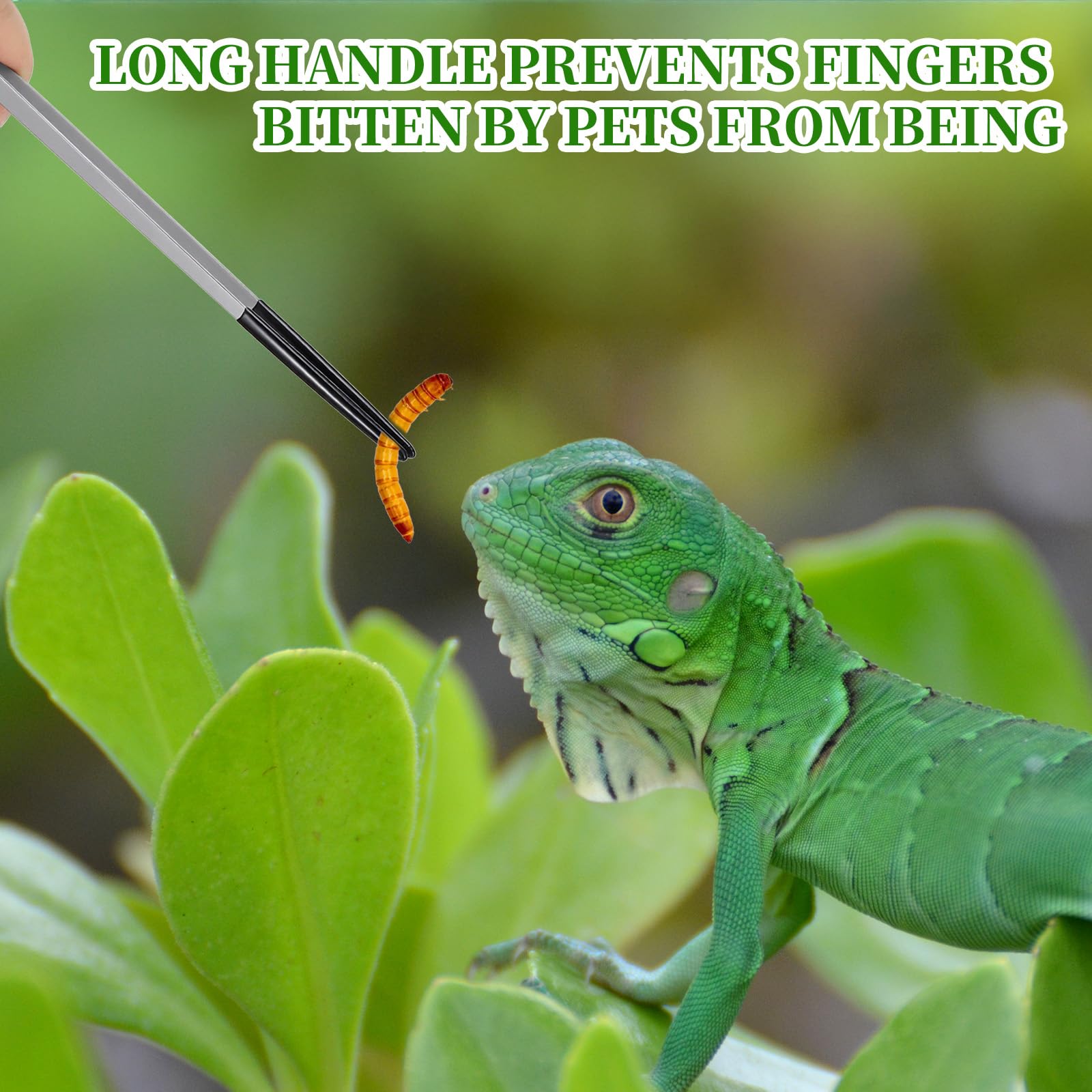 SHENLIU 3 pinzas de alimentación para reptiles, pinzas largas para acuario, pinzas de alimentación extralargas de acero inoxidable de 10.6 pulgadas con punta de goma, pinzas de alimentación curvadas - 5