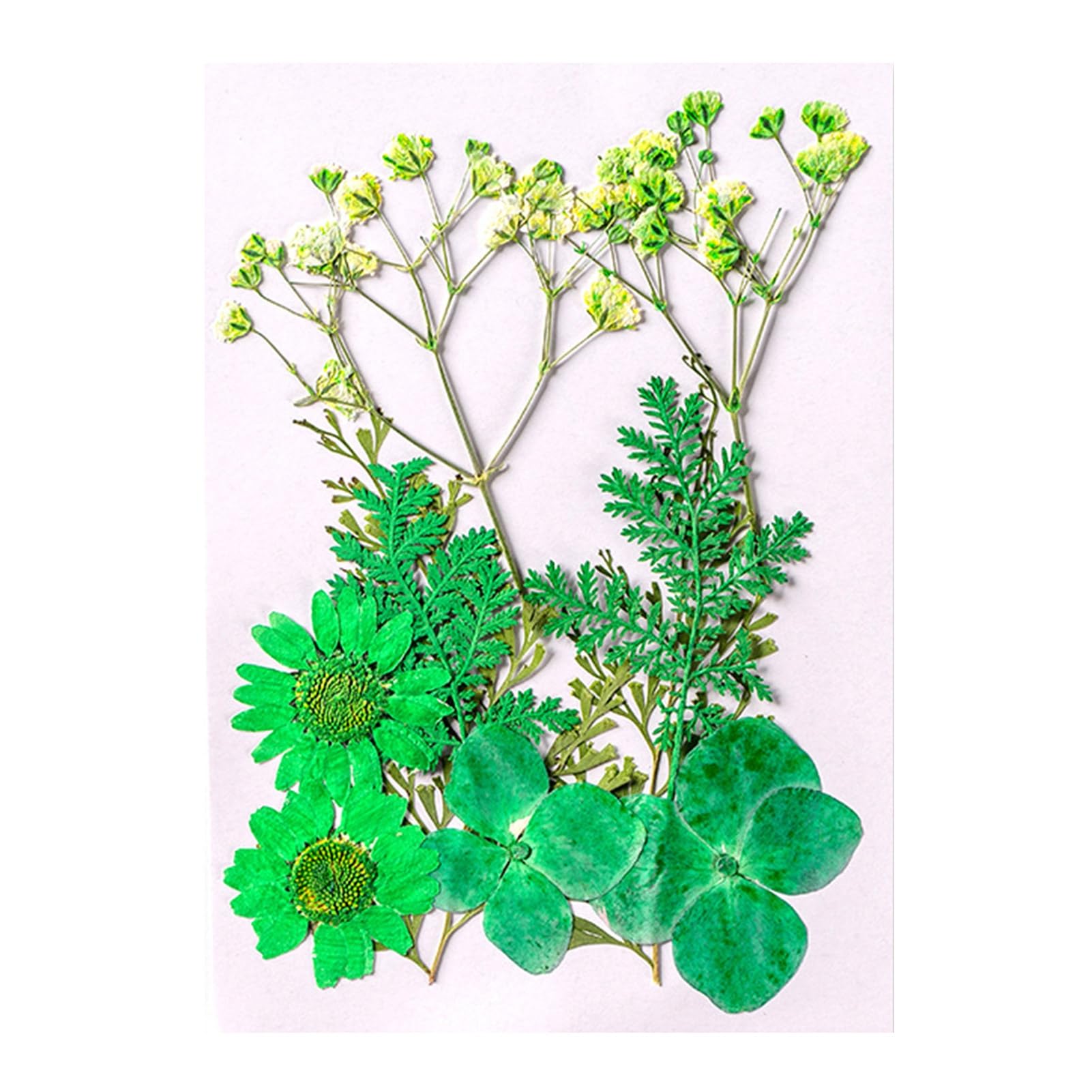 10 Pcs Dried Pressed Flowers for Resin, Real Pressed Flowers Dry Leaves Bulk Natural Herbs Kit for Scrapbooking DIY Art Crafts, Epoxy Resin Jewelry Molds, Candle, Soap Making, Nails Décor Green