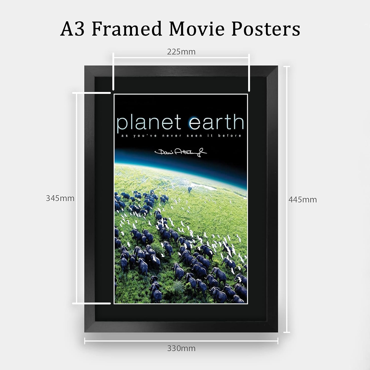 HWC Trading Planet Earth 1 David Attenborough 16 x 12 inch Framed Gifts Printed Signed Autograph Poster for TV Memorabilia Fans - 16" x 12" Framed