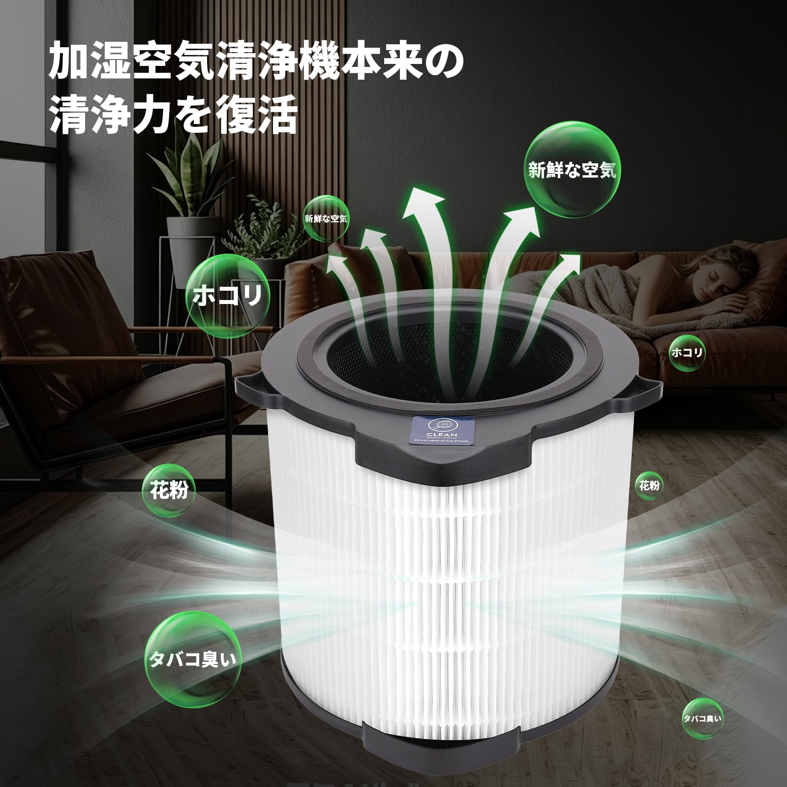 Amazon.co.jp: エレクトロラックス 空気清浄機 フィルター EFDCLN4PLS