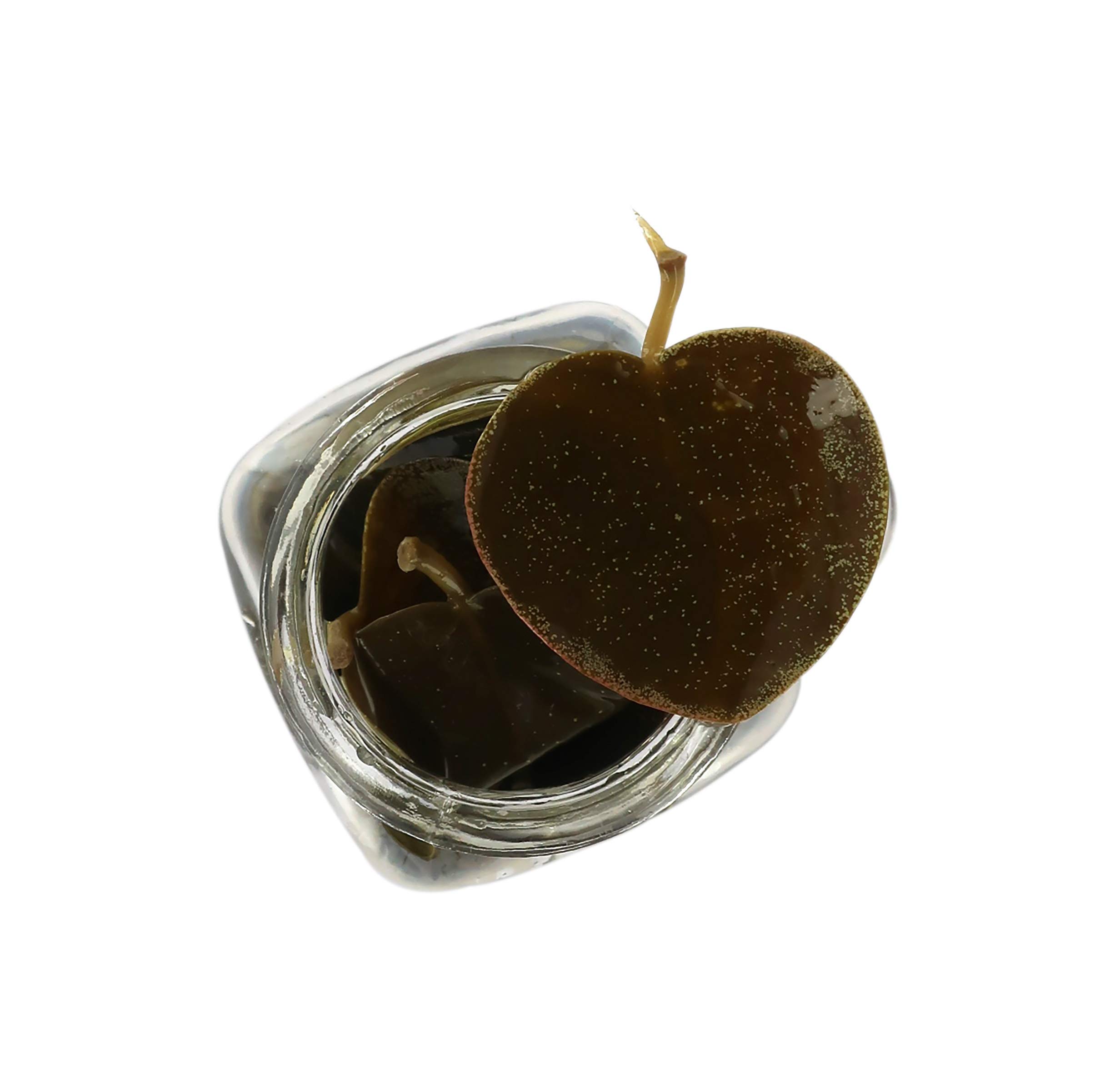 La Nicchia Pantelleria - Feuilles de Câpre à l'Huile d'Olive Extra Vierge 220g