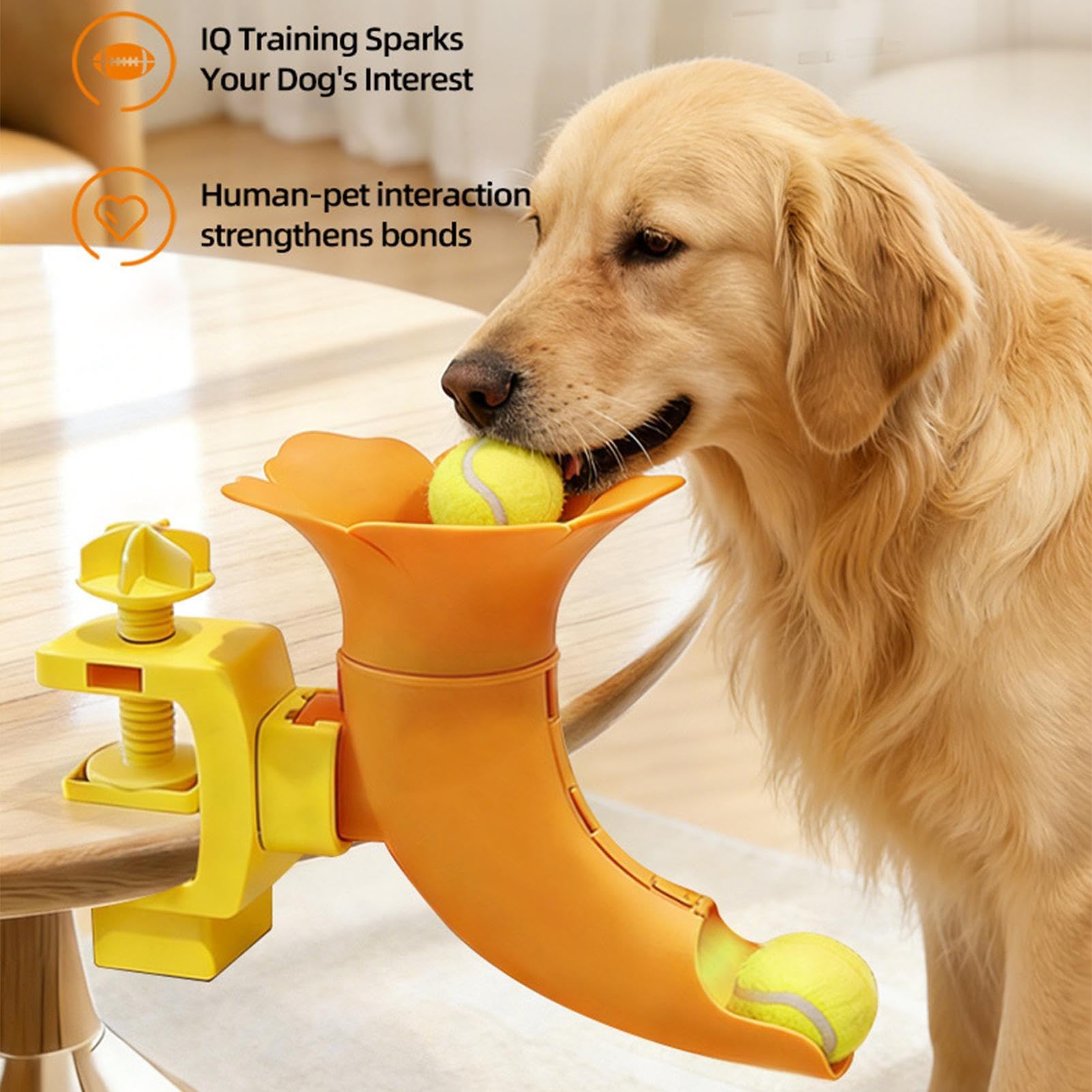 Ballwurfgerät für Hunde Bewegungsspiel In Trompetenform