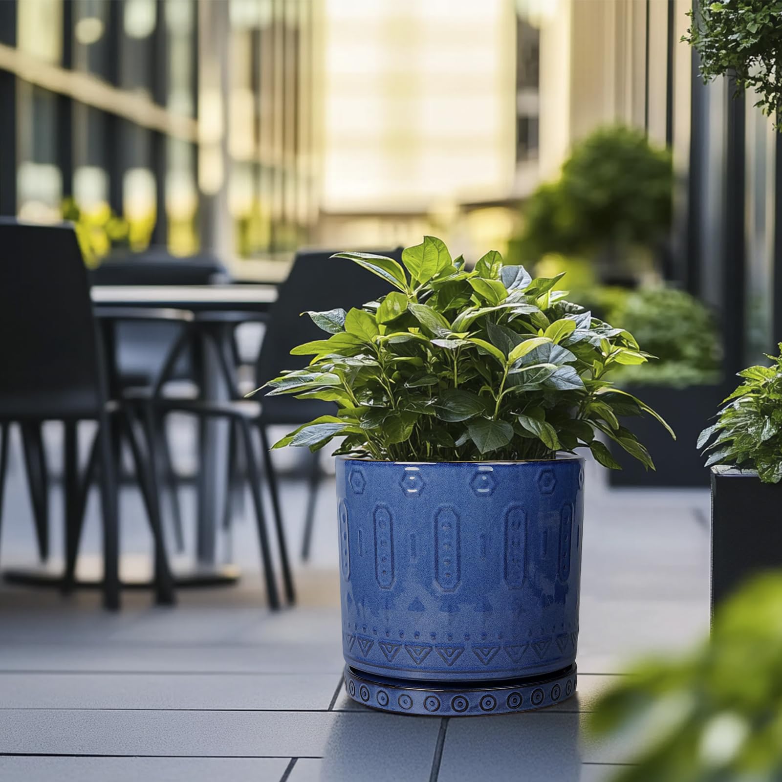 Eightpot 12 Inch Pot for Plants - Ceramic Planter for Indoor Plants Large Plant — product photo