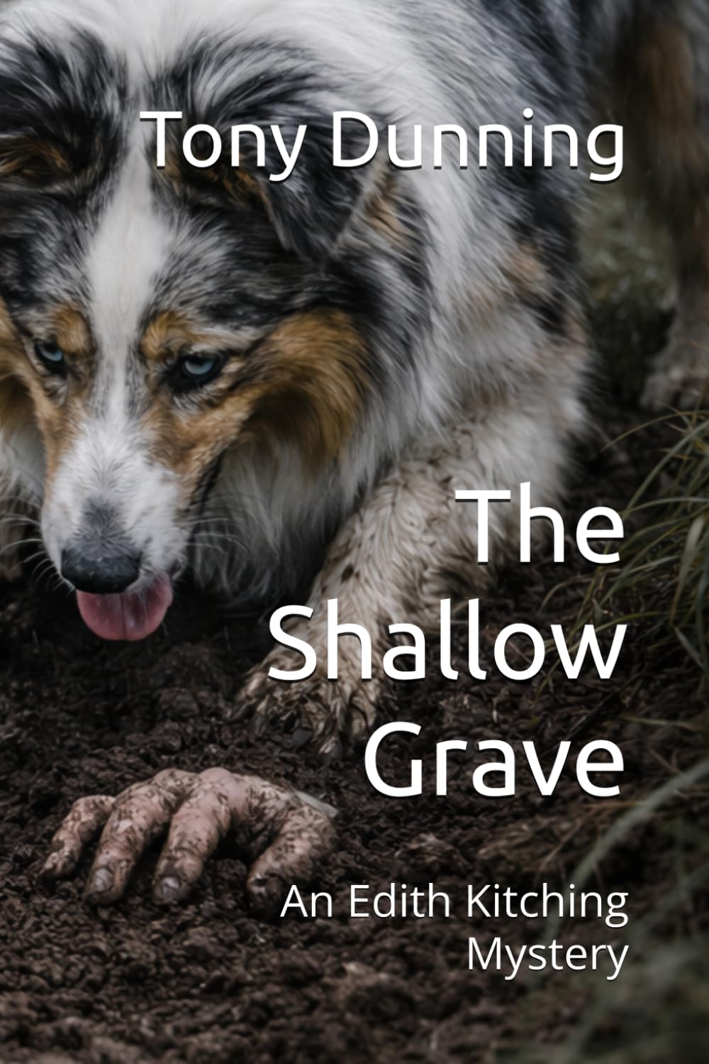 The Shallow Grave: An Edith Kitching Mystery (The Edith Kitching Mysteries)
