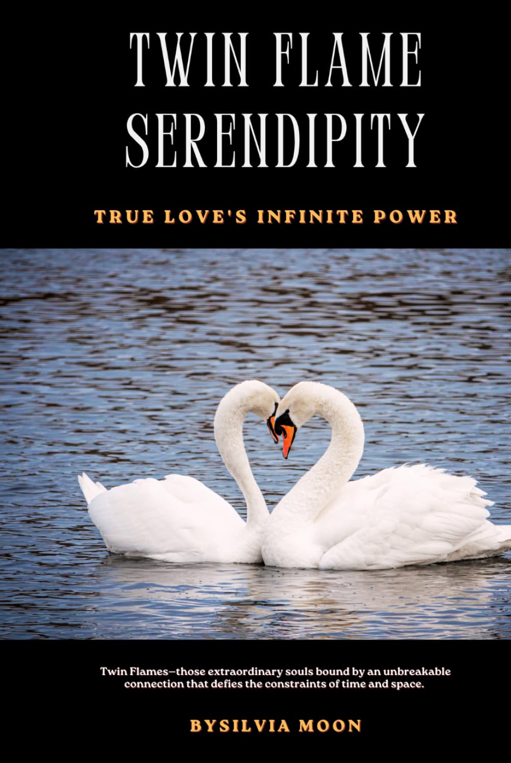Twin Flame Serendipity: True Love's Infinite Power (Twin Flame Destiny)