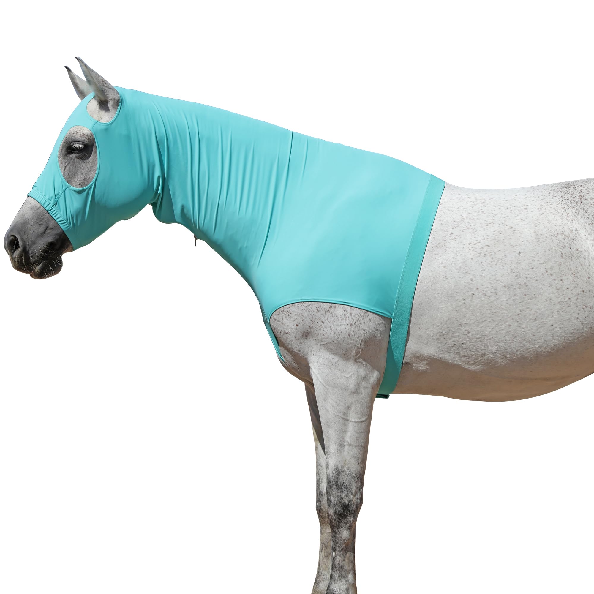 Gallopoff Halsteil Ekzem, Brustschutz Pferd Decke, Halsdecke Pferd, Schulterschutz für Pferde, Stretch Kapuze mit Reißverschluss und Vollgesicht Halsabdeckung