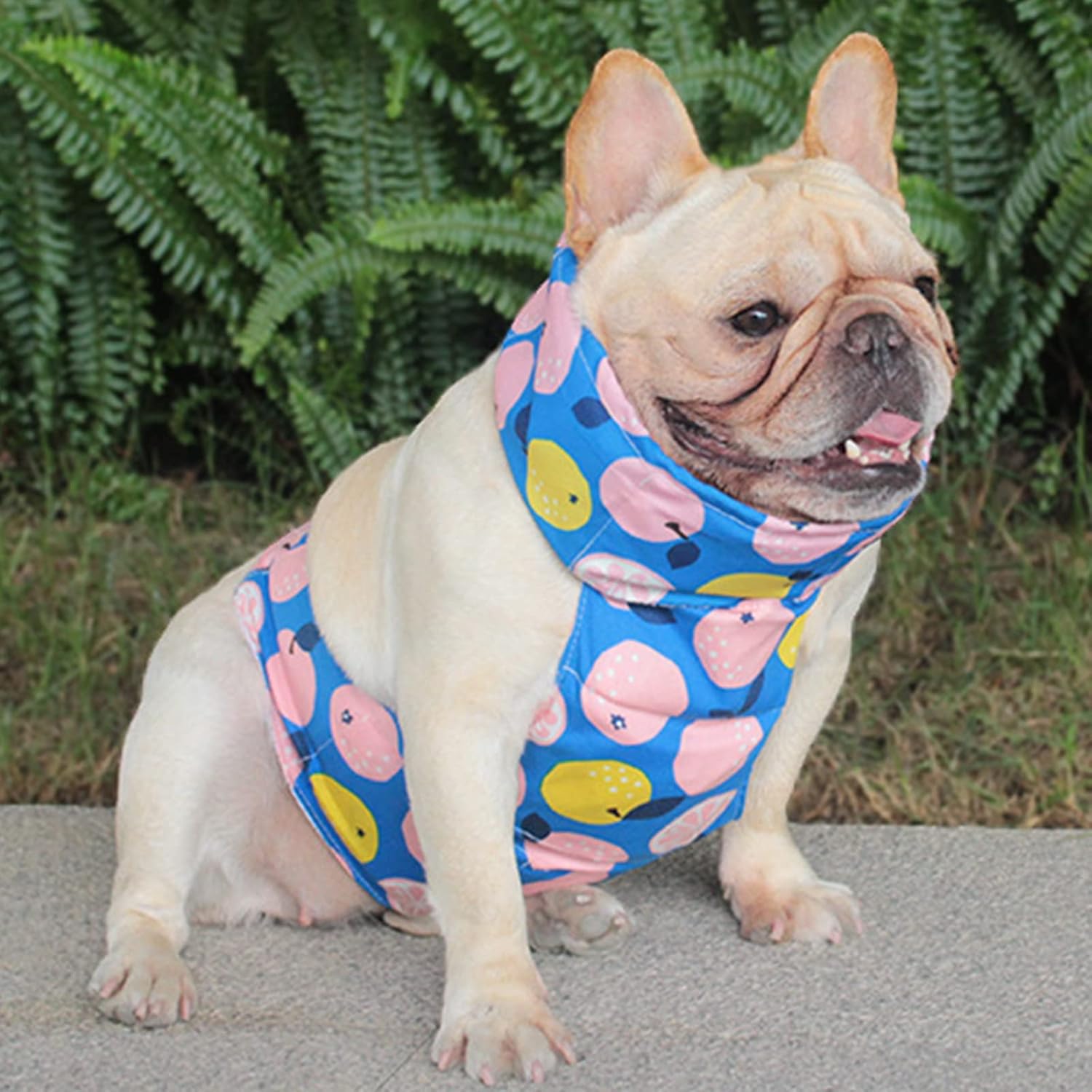 Dog Cooling Vest Harness Printing Lightweight Cooler Jacket Cool Fabric for Beach Outdoor Walking Cool Pet Cooler Vest for Small Medium Dogs