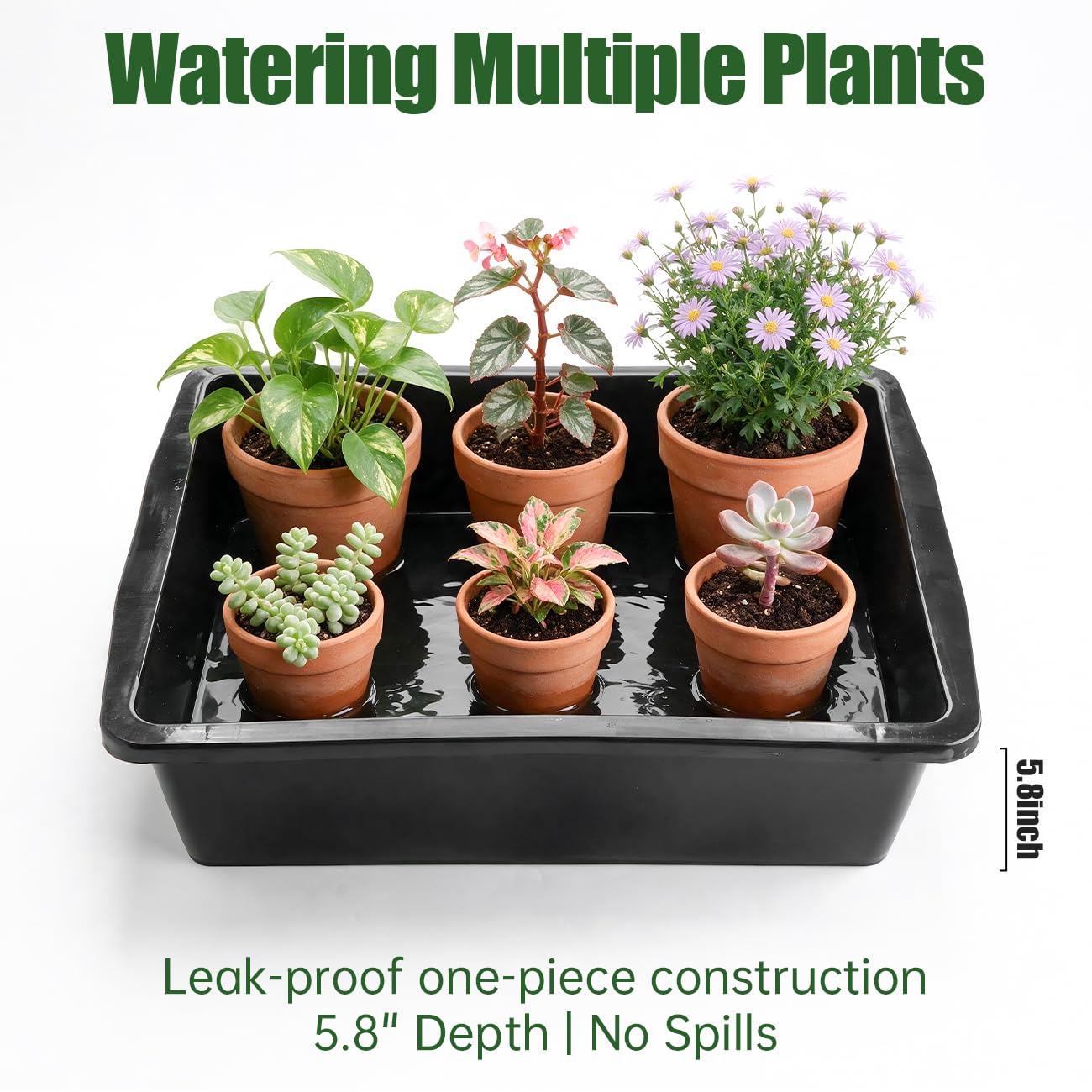 Lot de 4 plateaux de rempotage de plantes de jardin pour mélange de terre