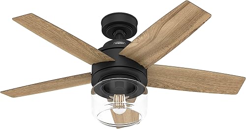 Hunter Fan Company 52289 Margo Ventilador de techo, 44 pulgadas, negro mate
