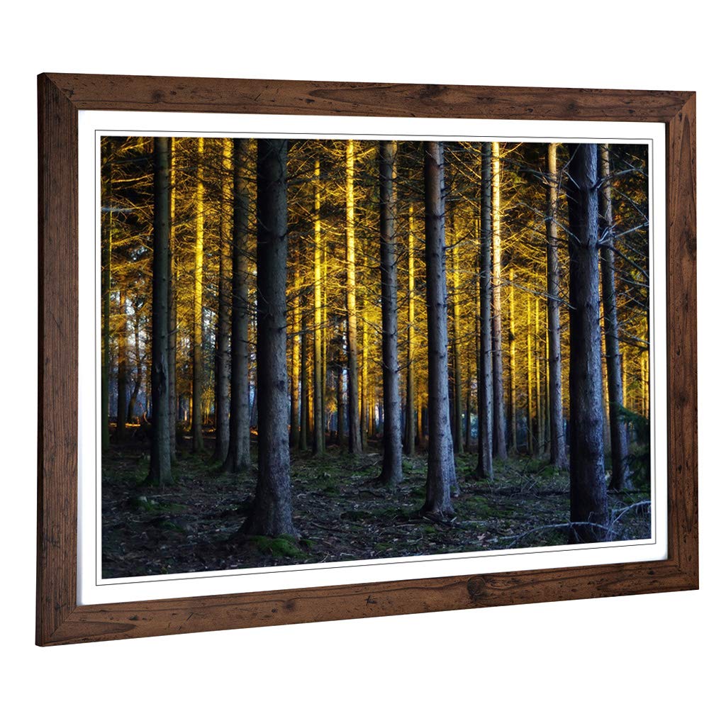 Big Box Art Framed Print of Landscape Sunlight Through Forest Woodland (5) Design | Wall Art Picture| Home Decor for Kitchen, Living Room, Bedroom, Hallway, Walnut, A2 / 24.5x18 Inch / 62x45cm
