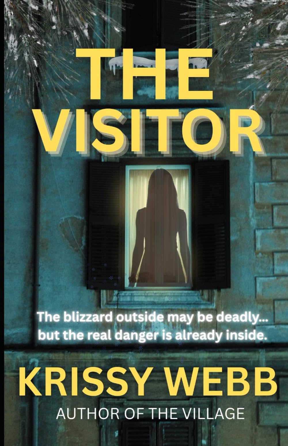 The Visitor