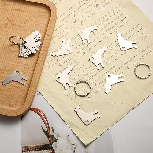 Miniatura 3 de 15 llaves dispensadoras de papel higiénico con 3 llaveros, dispensador de papel higiénico de repuesto para llaves, dispensador de pañuelos, llave