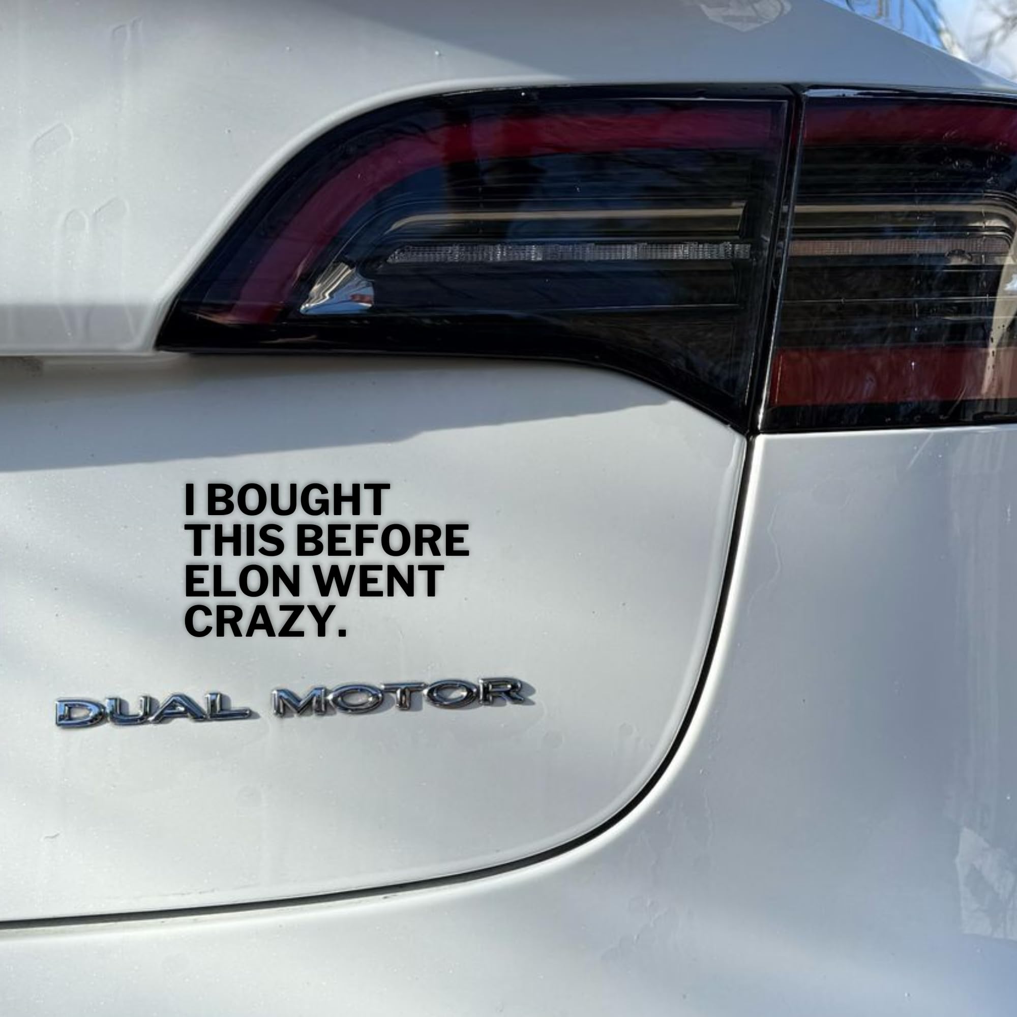 GreenWise Adhesivo de vinilo para coche diseño texto alemán I Booght THIS BEFORE ELON WENT CRAZY