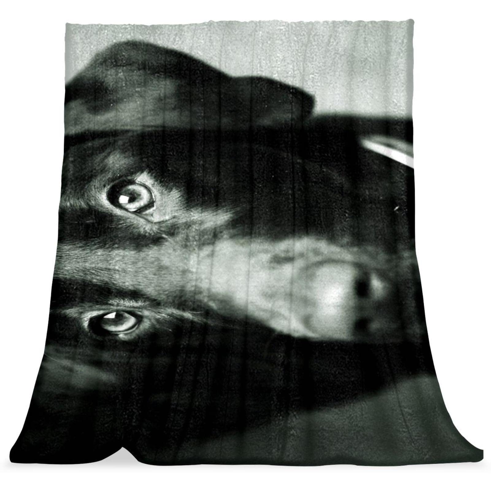 Couvre-lit enfant doux TBOUOBT : couverture de lit moelleuse motif chien noir