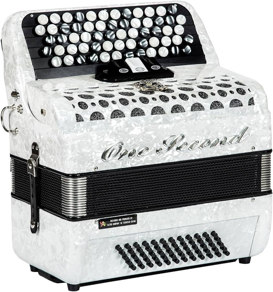 Amazon.com: ONESECOND Bayan button accordion 62 key 60 bass, a