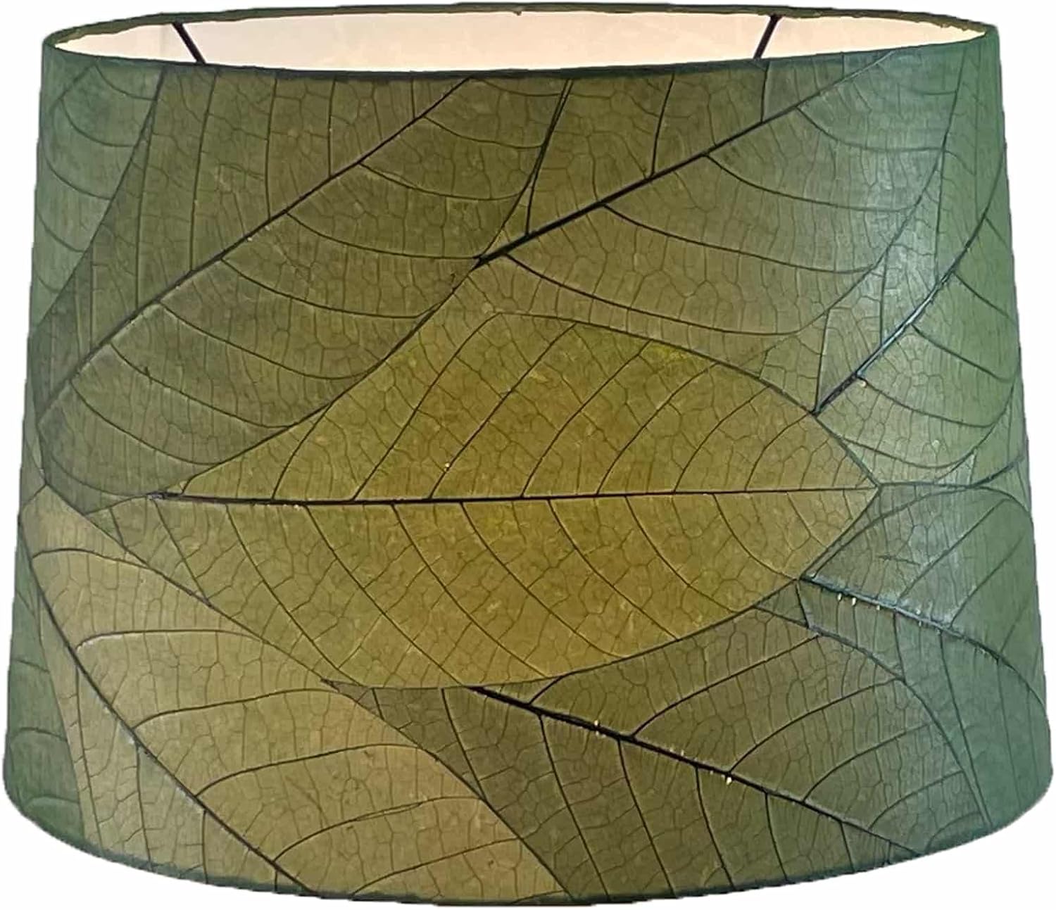 Eangee Home Design 16 Inch Tapered Drum Shade Green Shade Made of Real Cocoa Leaves 16 Inches Length x 16 Inches Width x 11 Inches Height (312 d g)