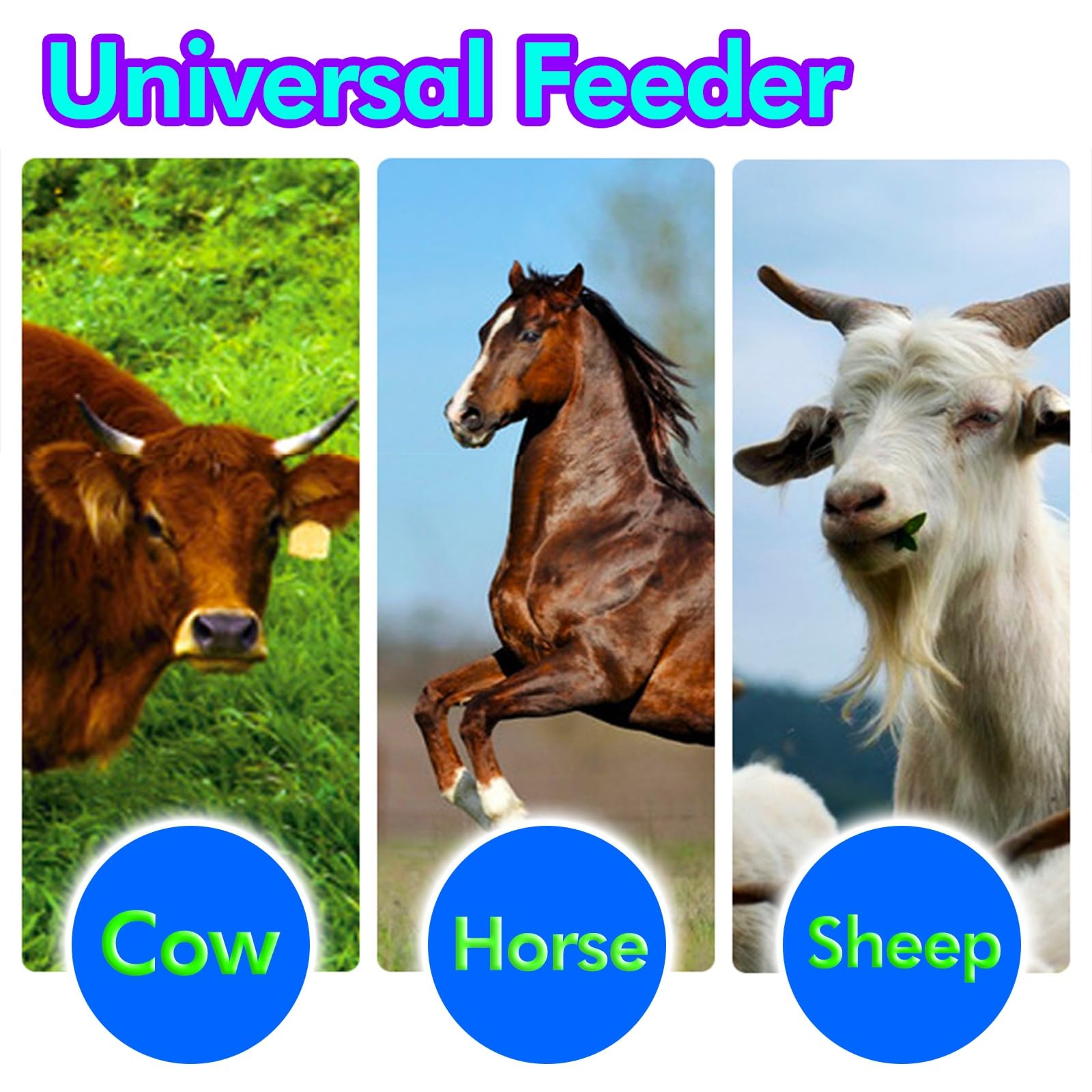 Comedero de plástico para Ganado de Gran Capacidad 35 kg/53 L, Cubo de pienso para Caballos más Profundo, Bebedero/comedero de heno y dispensador de Agua, comedero para Cerdos, Cabras, Cabal