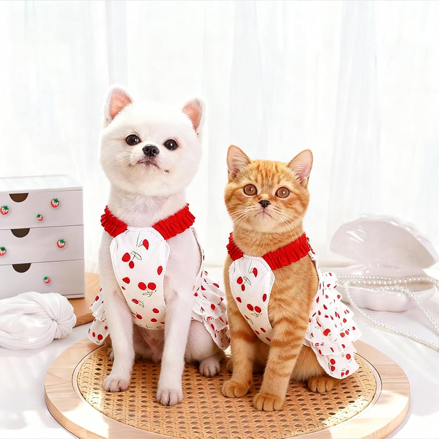 pet Clothes for Dog cat Sweet and Cute Girl (Large)