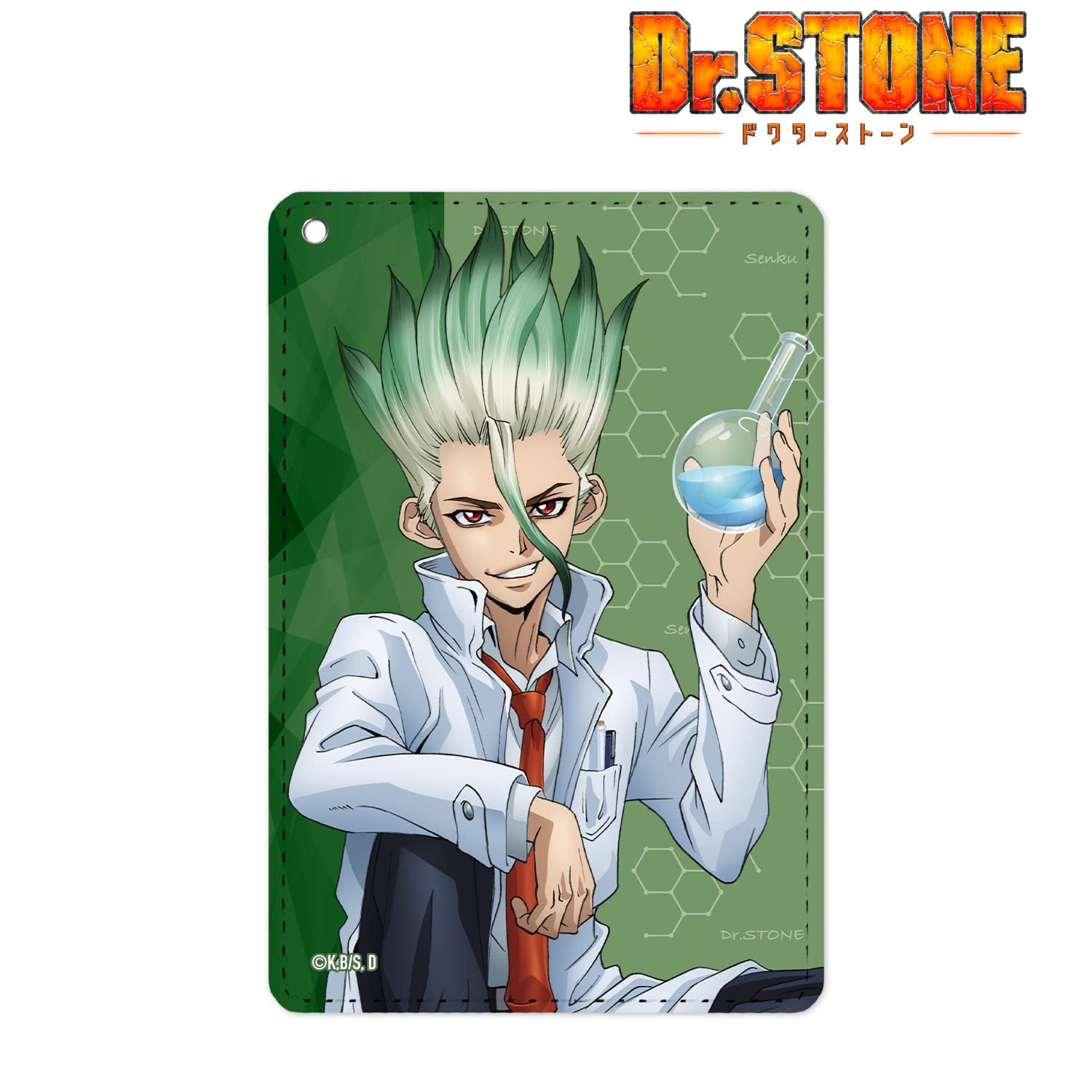 Amazon.co.jp: Dr.STONE 描き下ろしイラスト 石神千空 石化前ver. 1