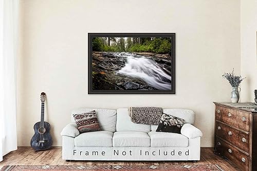 Miniatura 5 de Pacific Northwest Photography Print (Not Framed) Picture of Paradise River Rapids in Mount Rainier National Park Washington State Forest Wall Art