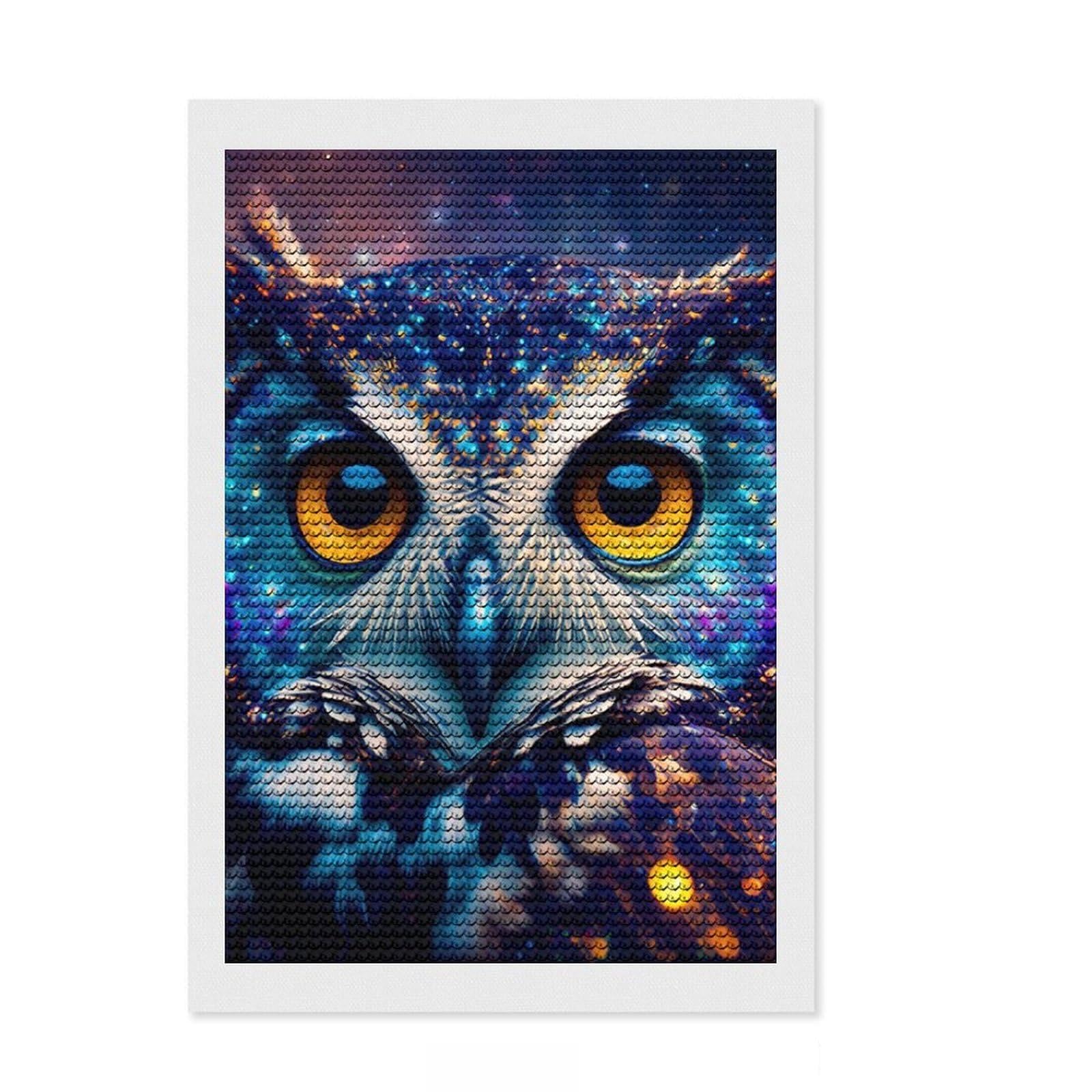 Junmoney Owl Diamond Art Kit 8"x12", Home Decoration, Relaxing DIY, Modern Decor, Holiday Gift Idea, Creative Gift Idea