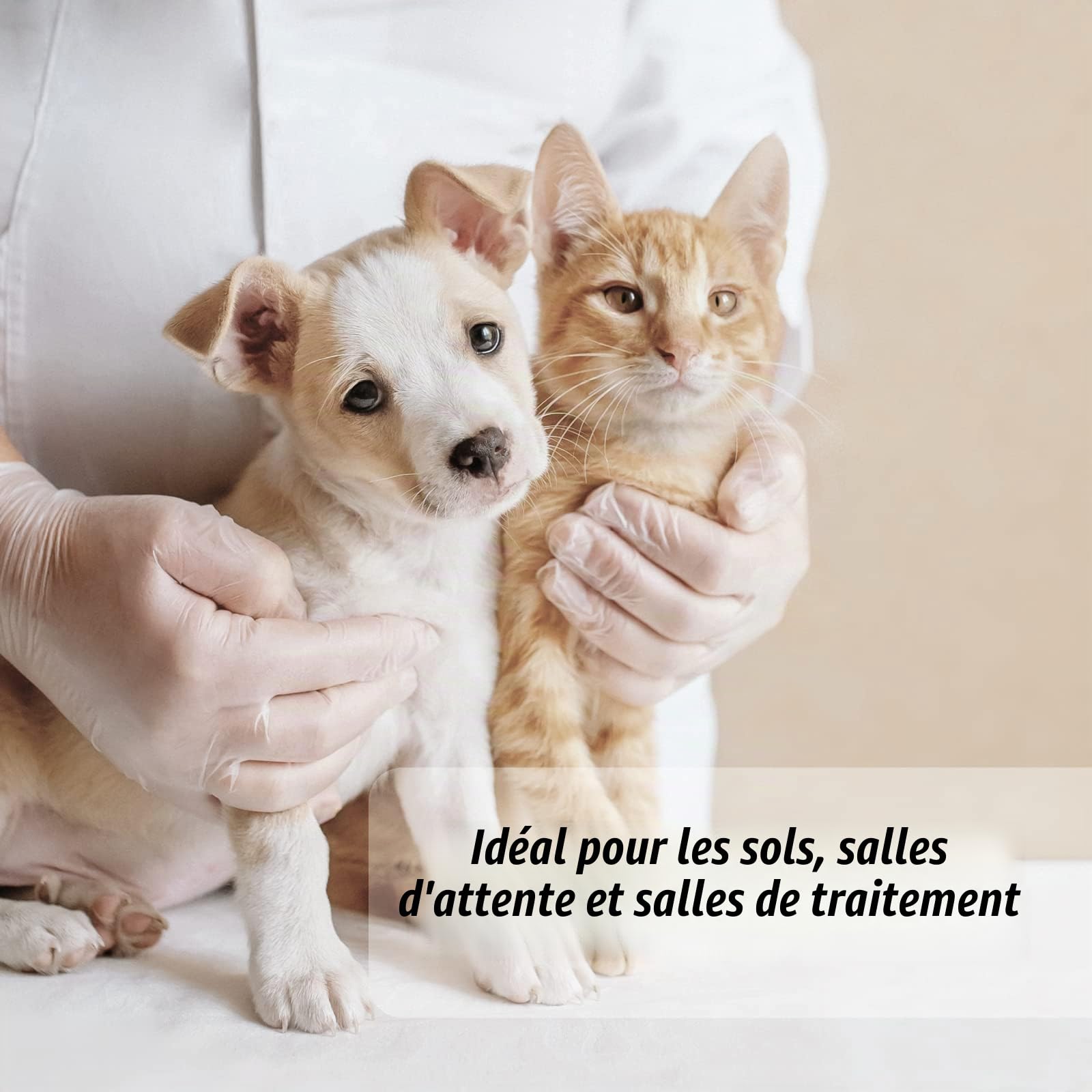 Biodor Animal Solution nettoyante et désodorisante