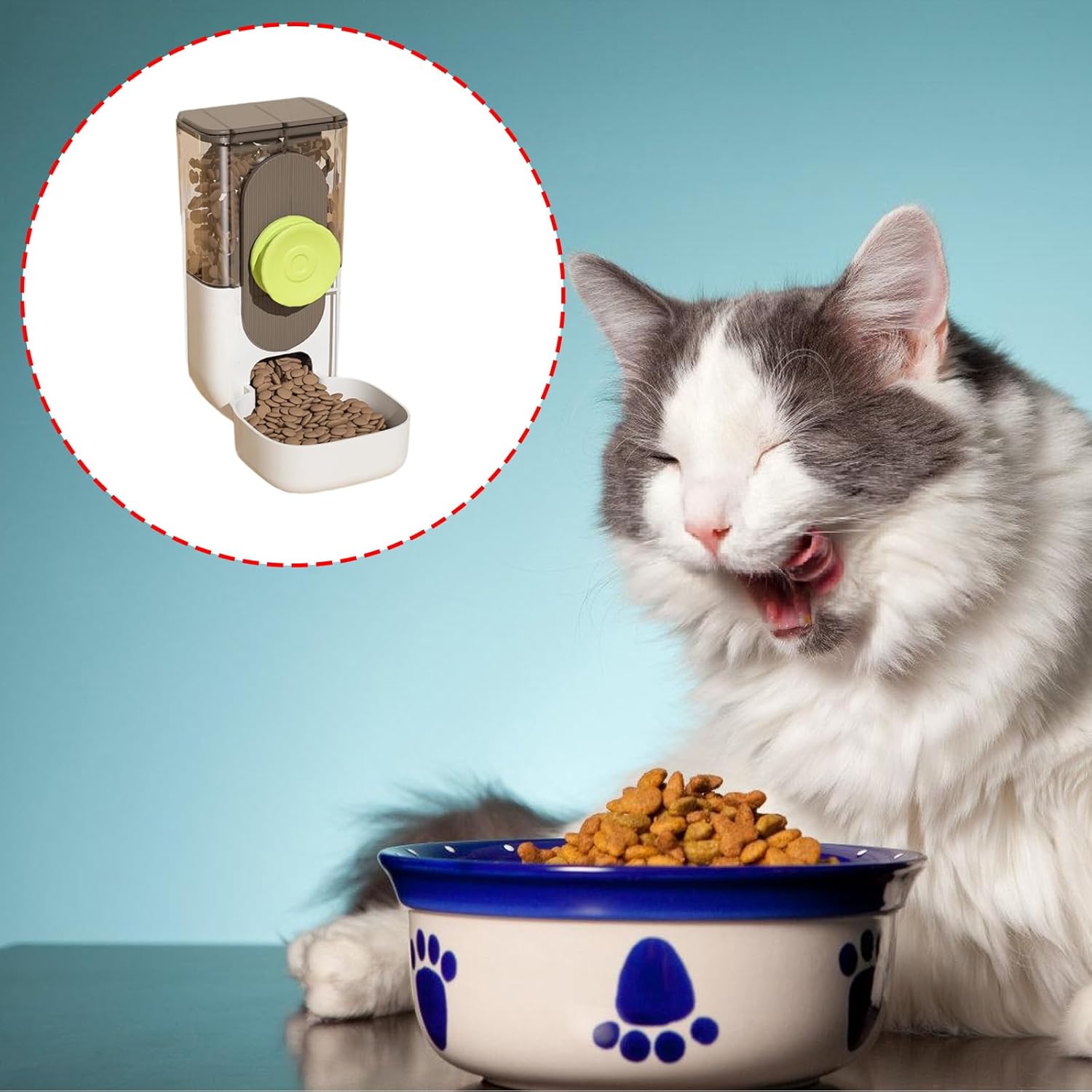 Leak Water Feeder for Small Pet Simplifies Care for Busy Owners Fits Most Animal Cages Hanging Waterer