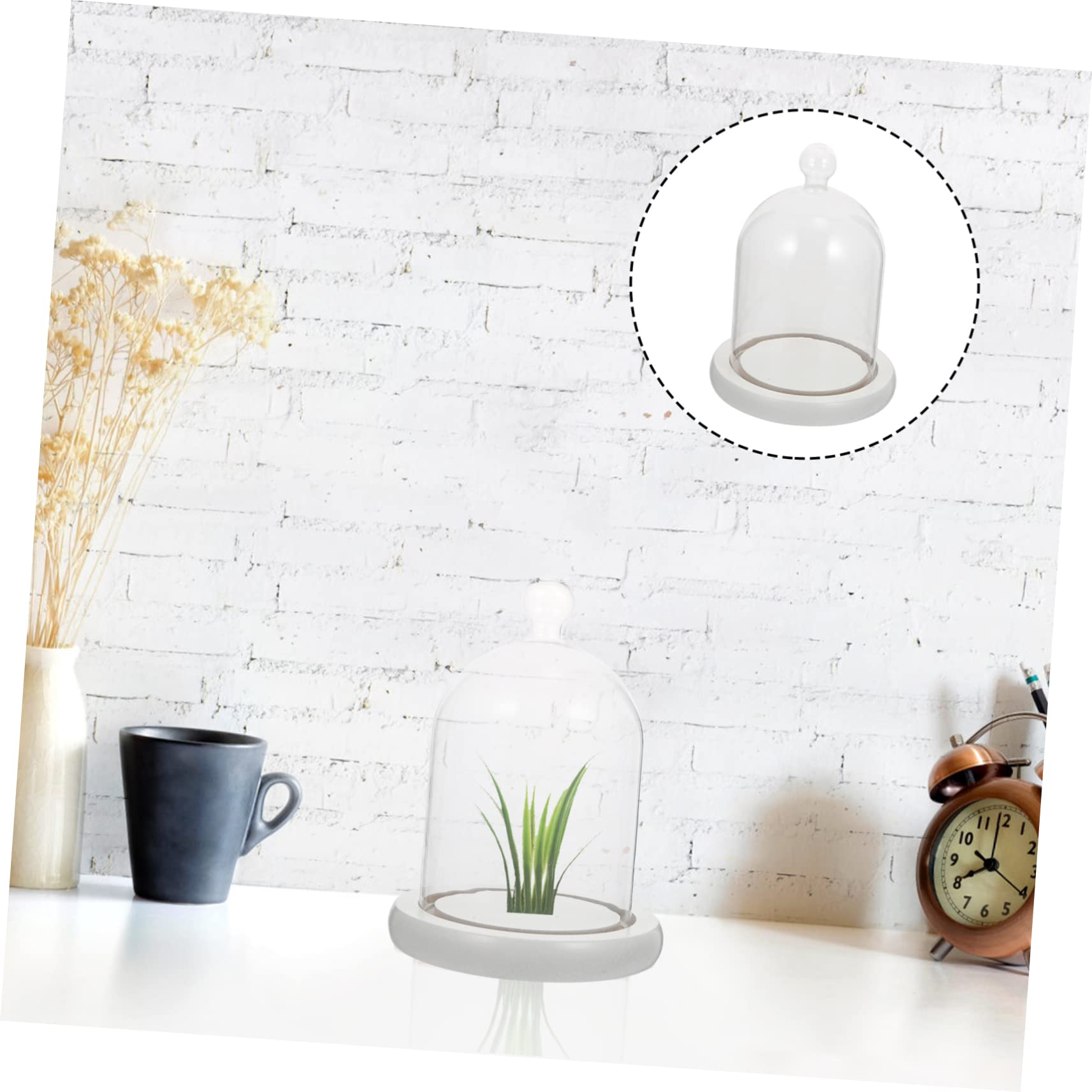 Glasglocke Mit Holzsockel - Staubdichte Abdeckung Für Deko